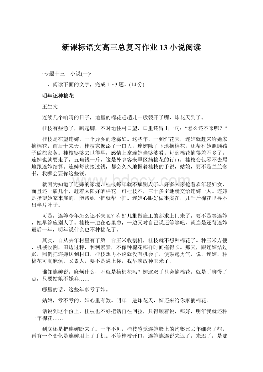 新课标语文高三总复习作业13小说阅读.docx