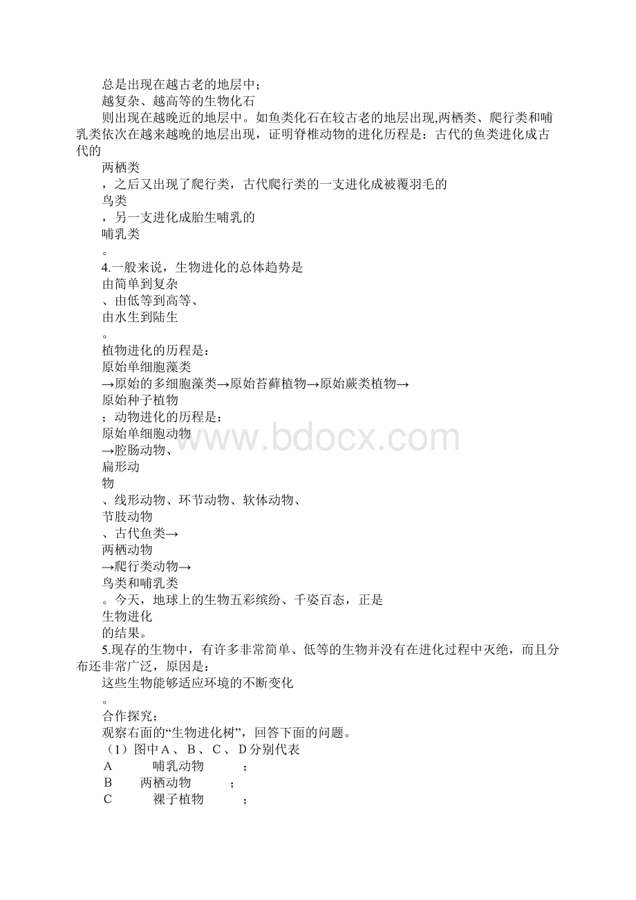 学习实践生物进化的历程导学案及答案文档格式.docx_第2页