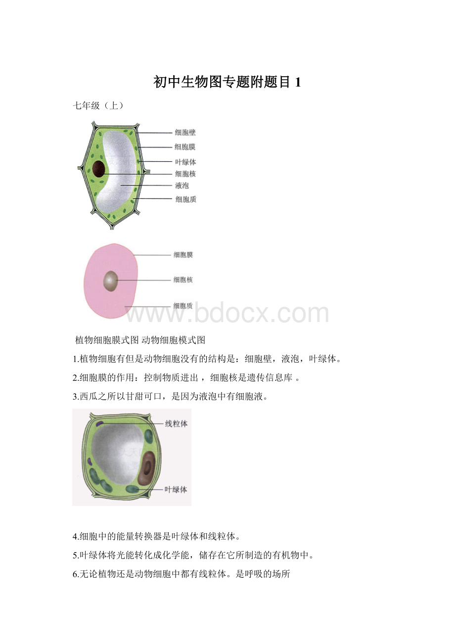 初中生物图专题附题目1.docx