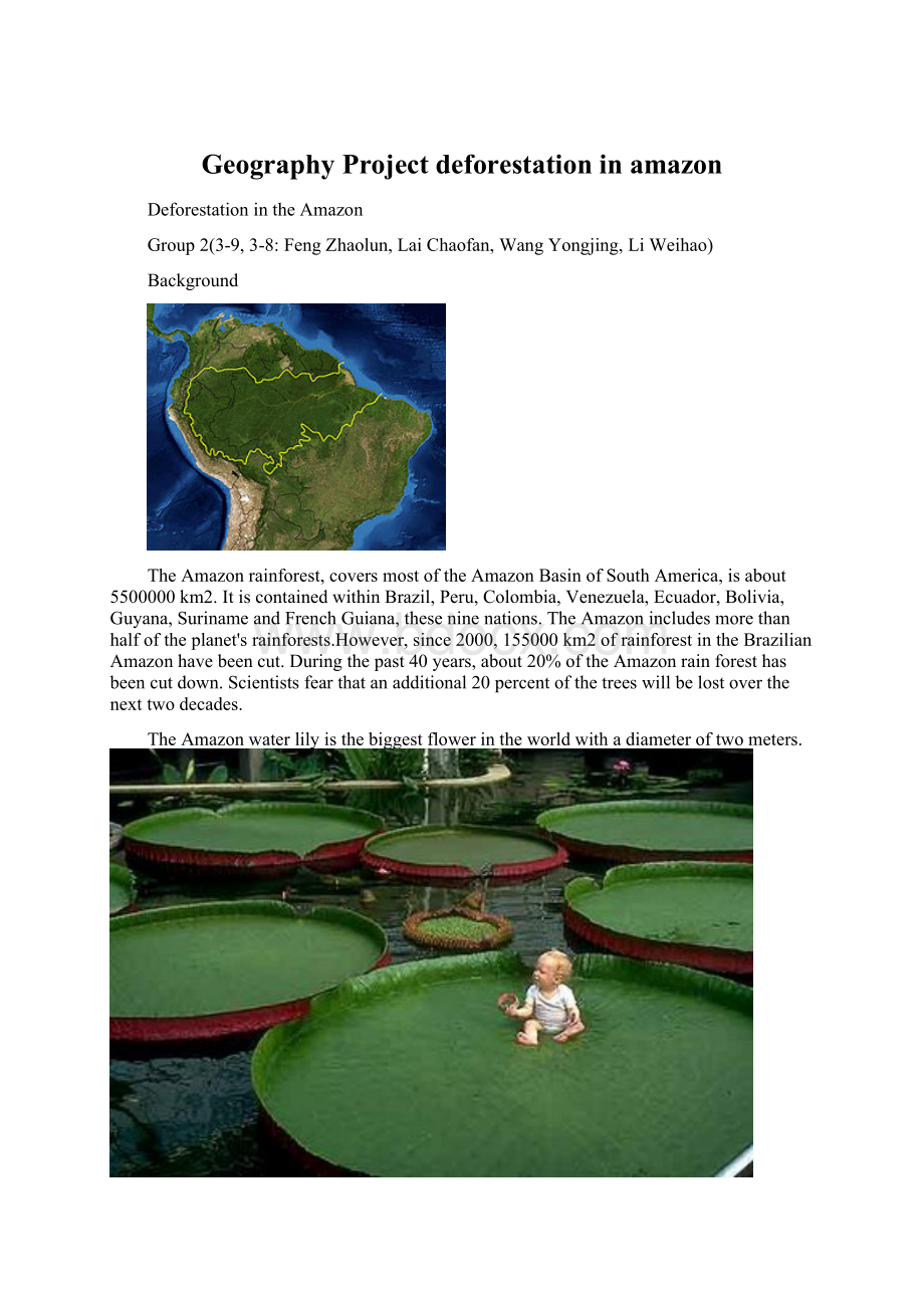 Geography Project deforestation in amazonWord格式.docx_第1页