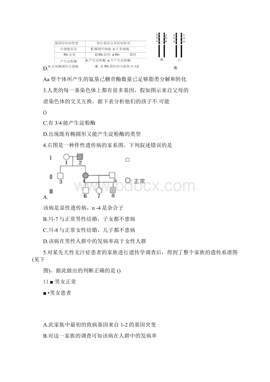 高三生物二轮复习遗传专题Word文档格式.docx_第2页