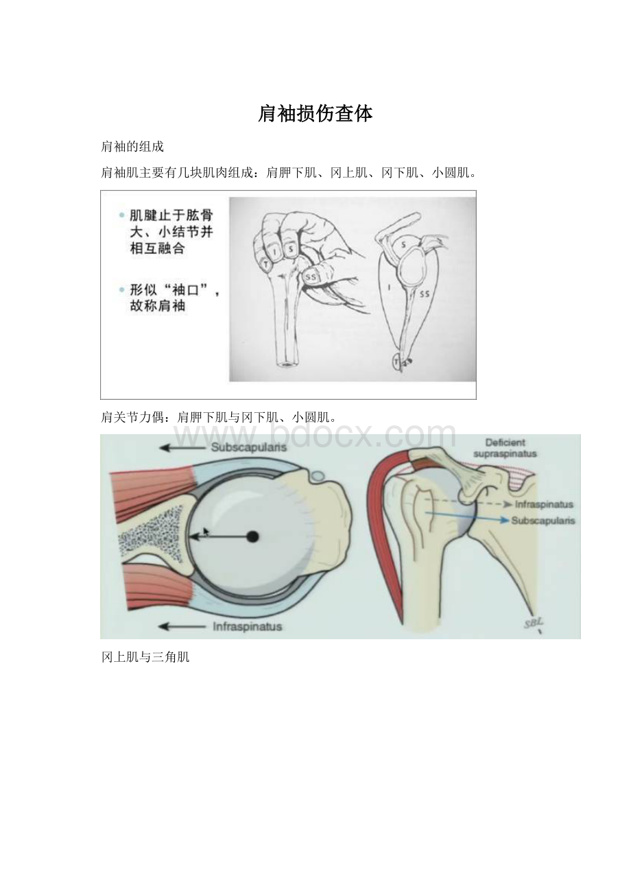 肩袖损伤查体Word文档格式.docx_第1页