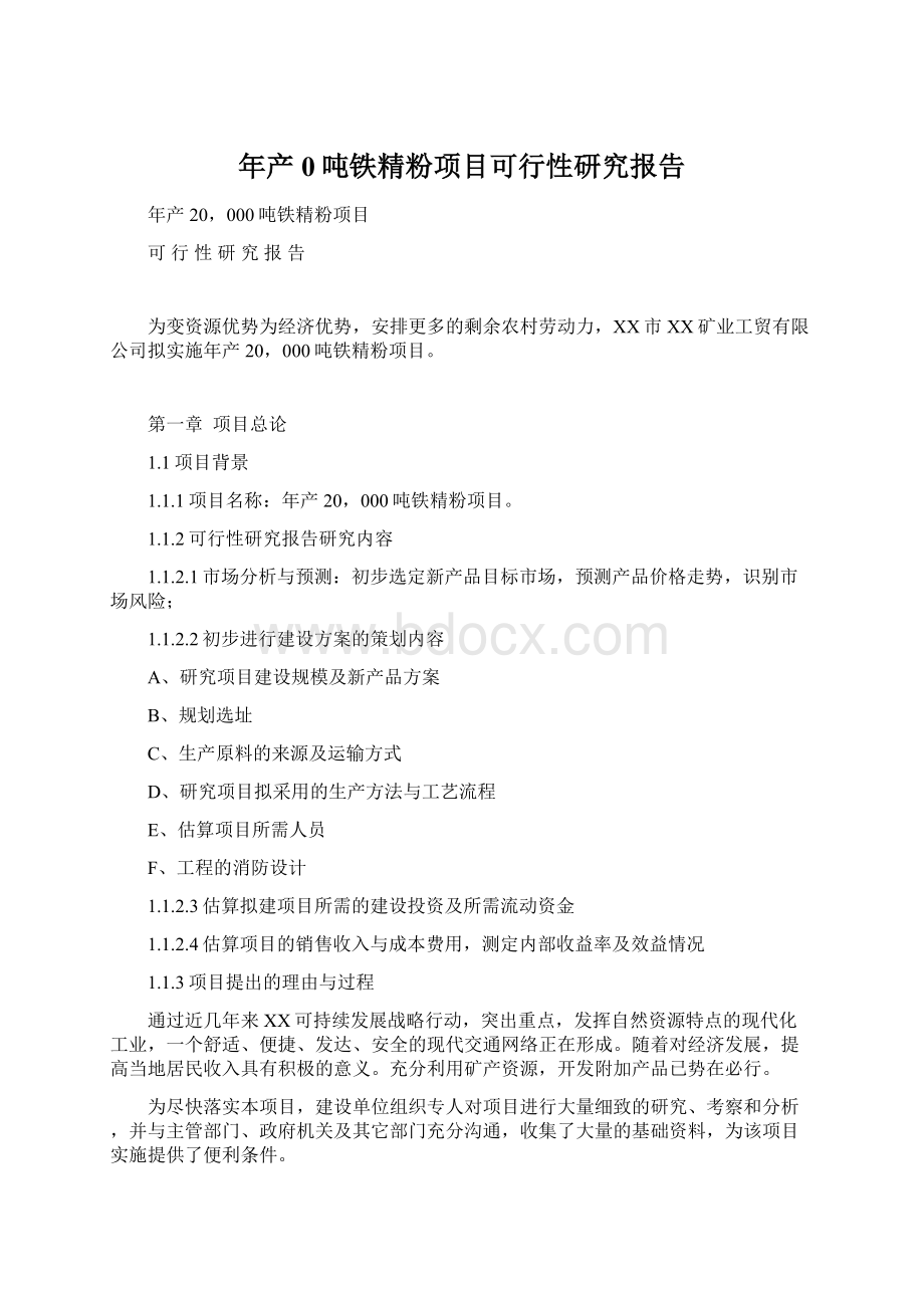 年产0吨铁精粉项目可行性研究报告Word格式文档下载.docx