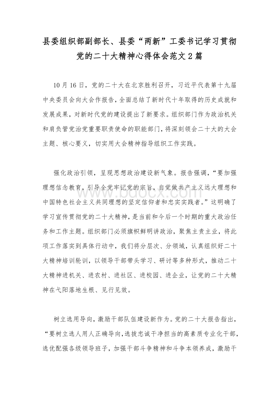 县委组织部副部长、县委“两新”工委书记学习贯彻党的二20十大精神心得体会范文2篇.docx_第1页