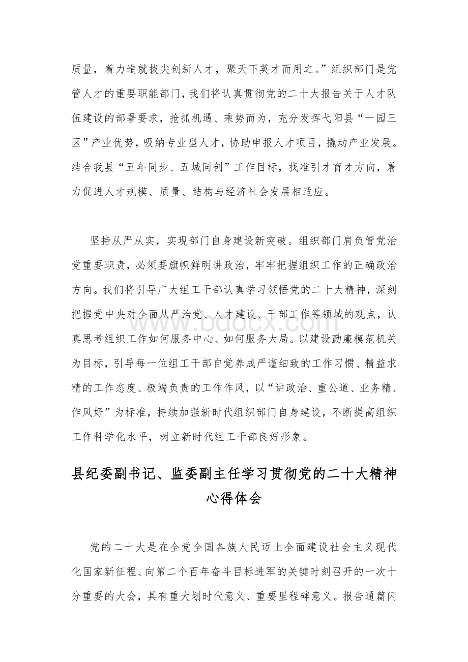 县委组织部副部长、县委“两新”工委书记学习贯彻党的二20十大精神心得体会范文2篇.docx_第3页