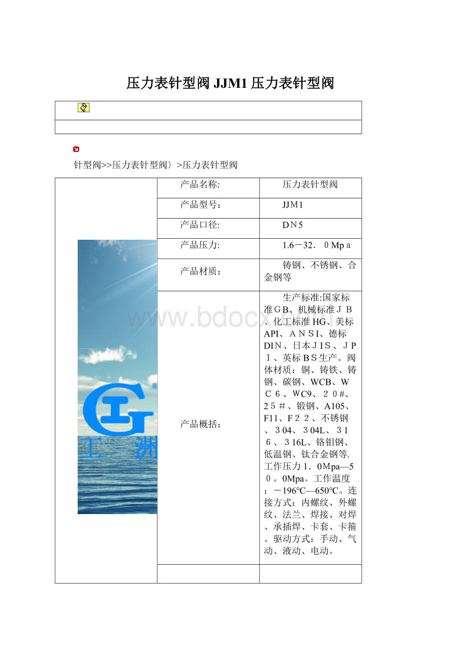 压力表针型阀JJM1压力表针型阀文档格式.docx