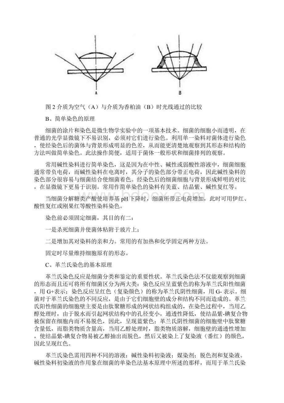 普通光学显微镜的使用单染色及革兰氏染色.docx_第3页