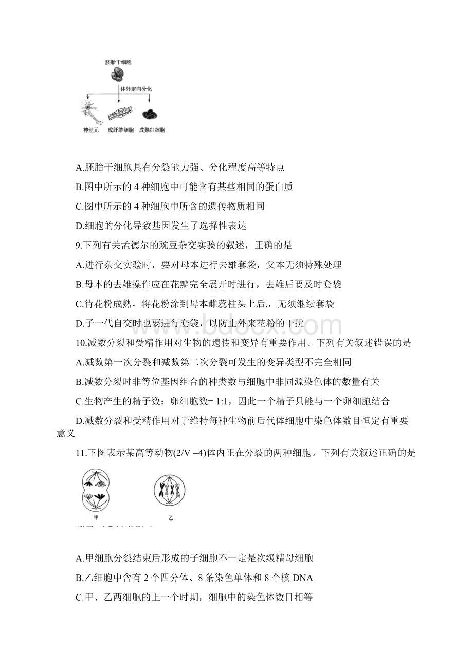 届河南省天一大联考高三上学期阶段性测试三 生物.docx_第3页