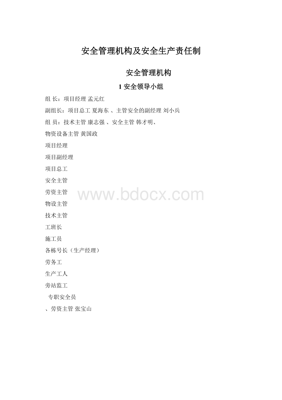 安全管理机构及安全生产责任制.docx