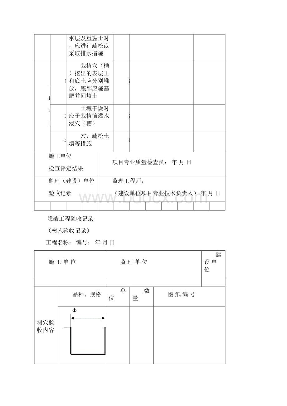 苗木种植表格Word格式.docx_第2页