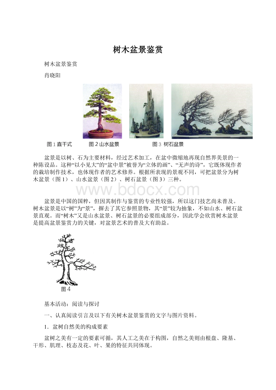 树木盆景鉴赏Word文档下载推荐.docx_第1页