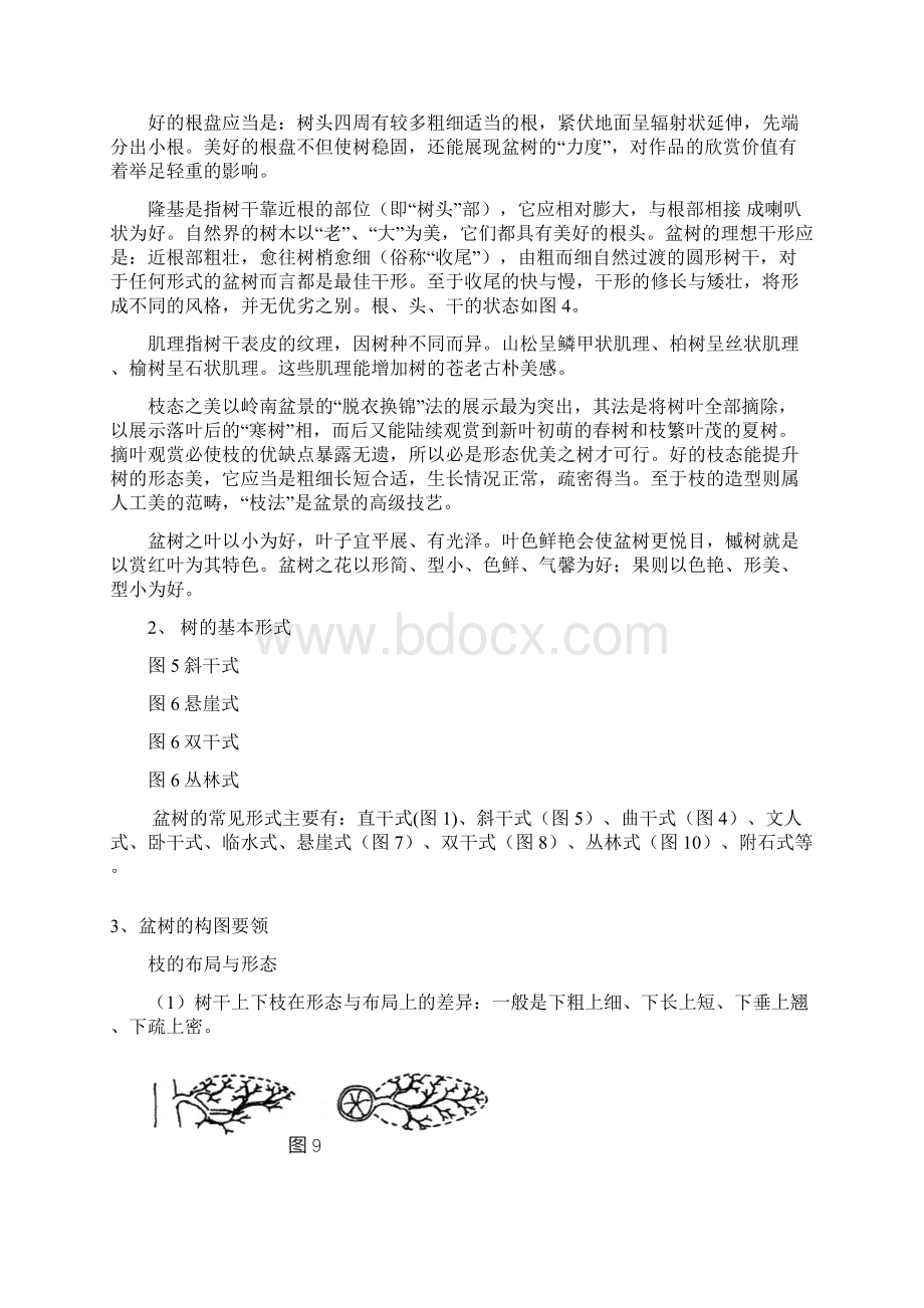 树木盆景鉴赏Word文档下载推荐.docx_第2页