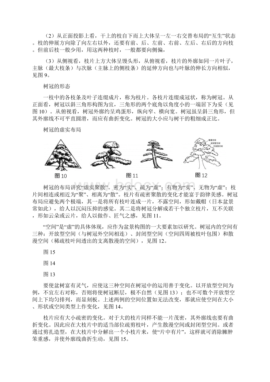 树木盆景鉴赏Word文档下载推荐.docx_第3页