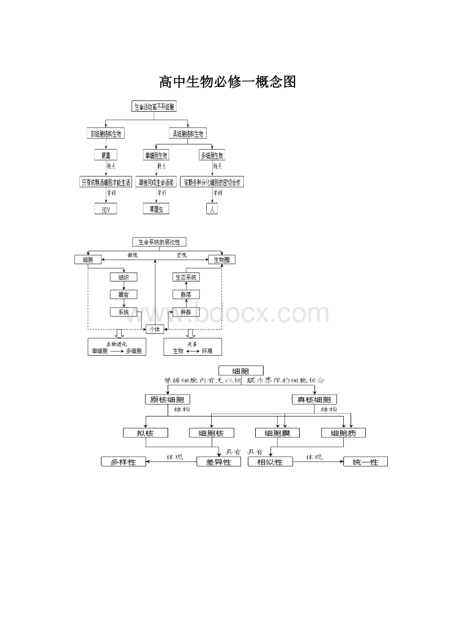 高中生物必修一概念图Word格式.docx_第1页