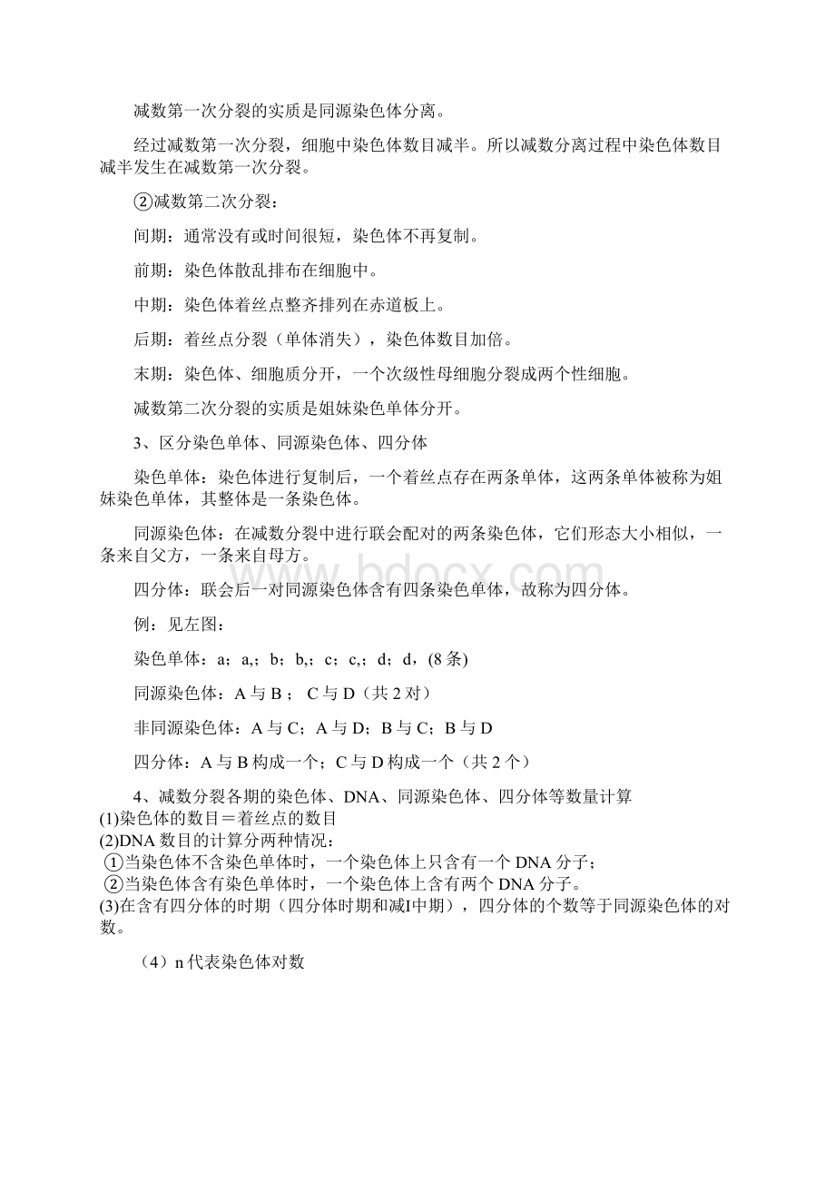 必修2文科生物会考提纲Word格式文档下载.docx_第2页