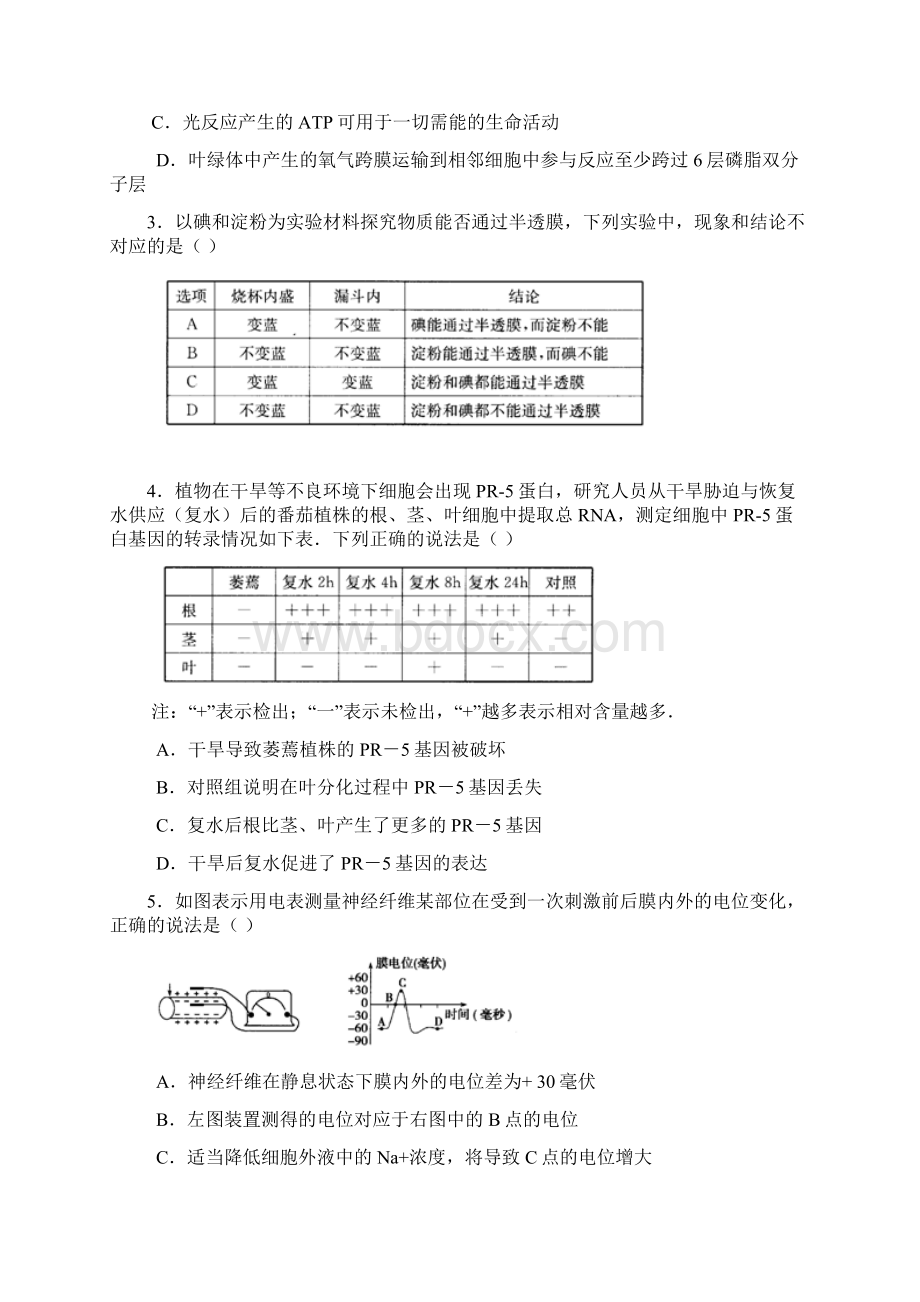 普通高等学校招生全国统一考试安徽卷理综1理综.docx_第2页