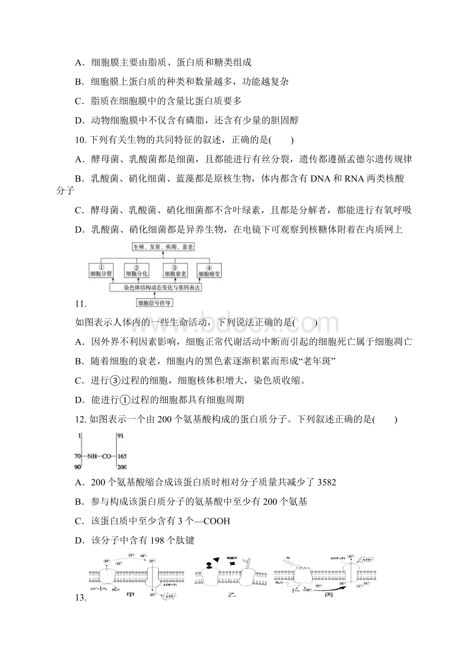 桂林市届高三生物上学期第一次月考试题Word文件下载.docx_第3页