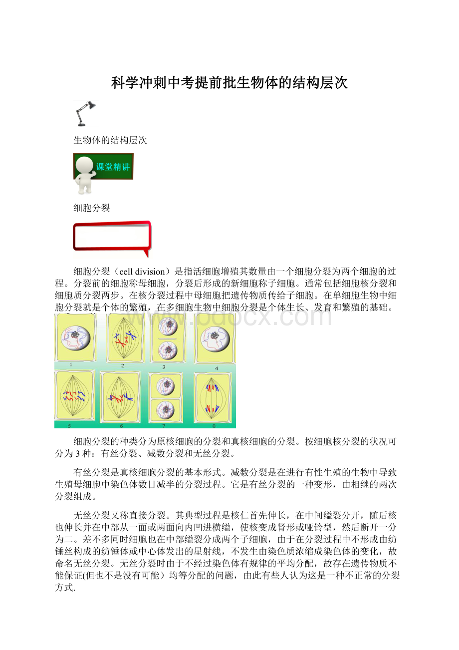 科学冲刺中考提前批生物体的结构层次.docx