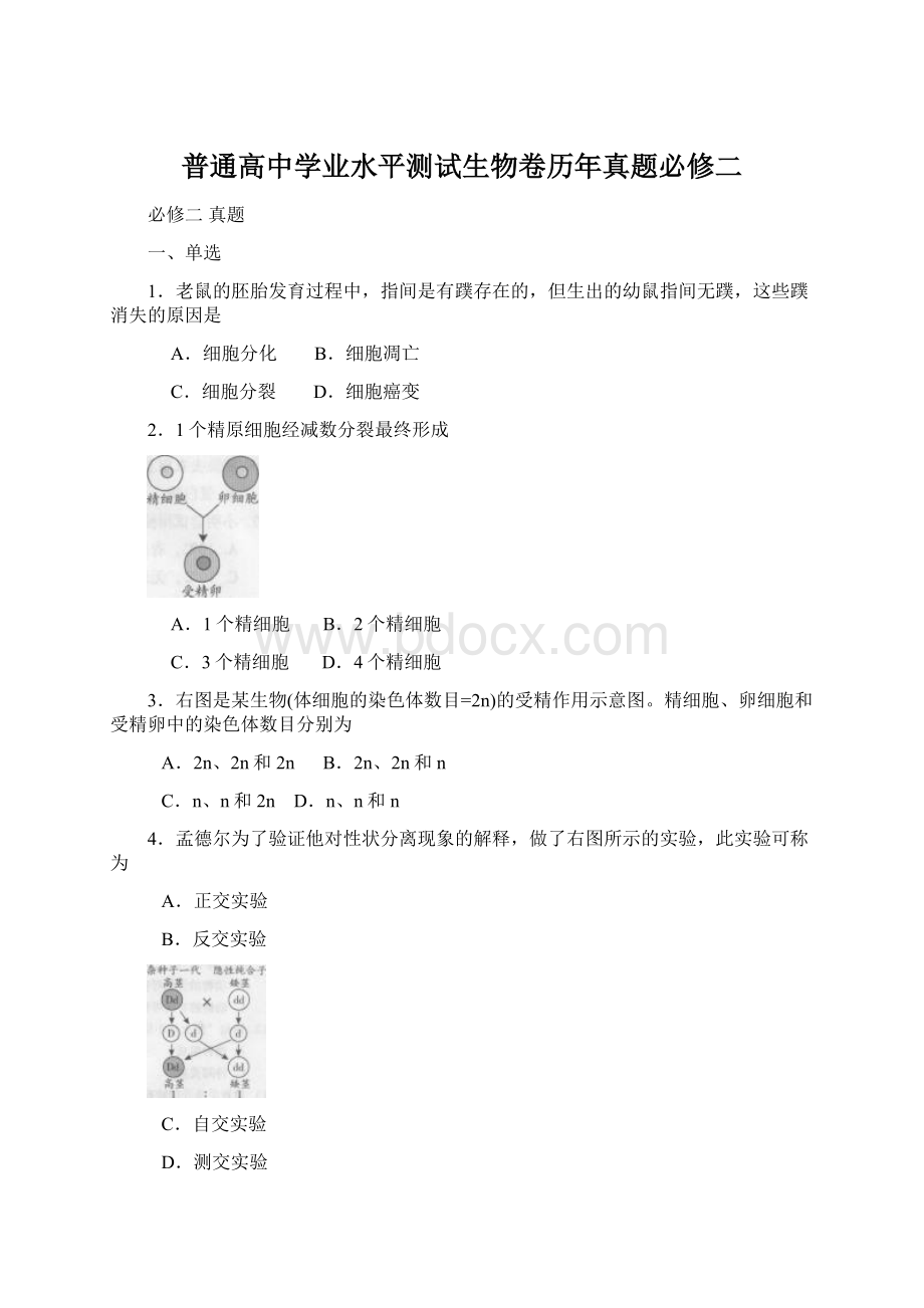 普通高中学业水平测试生物卷历年真题必修二.docx_第1页