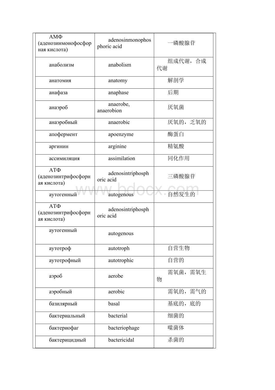 俄语医学词汇.docx_第2页