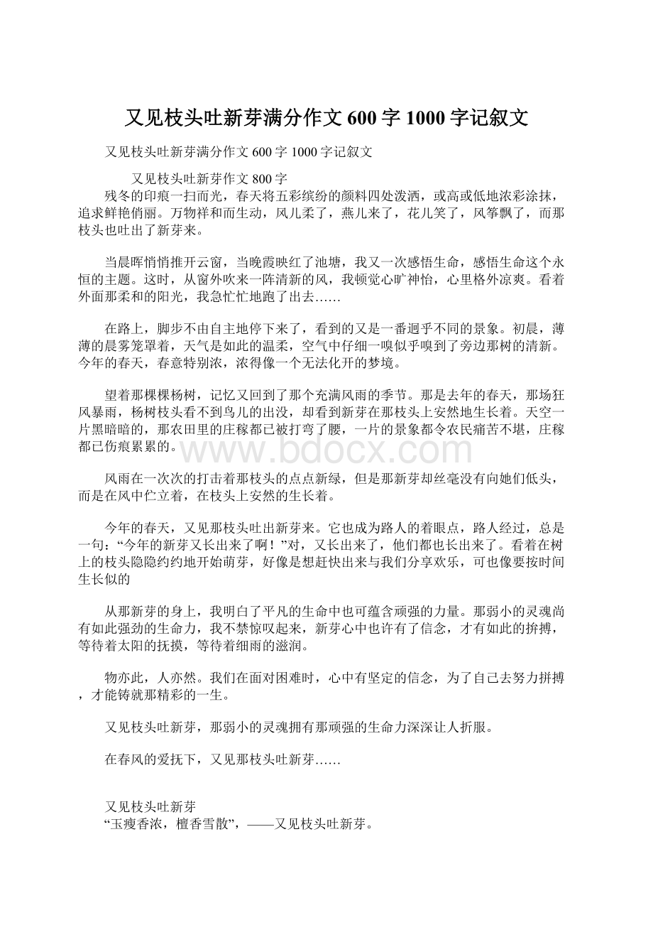 又见枝头吐新芽满分作文600字1000字记叙文.docx_第1页