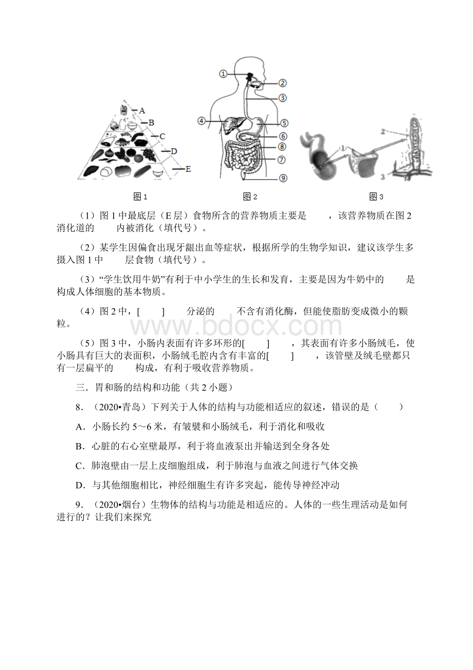 山东中考生物试题分类4人体的消化血液循环泌尿系统解析版.docx_第3页