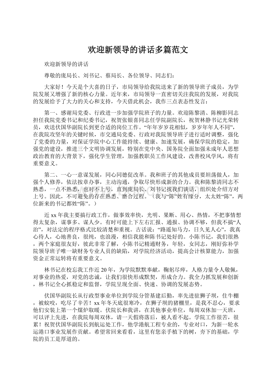 欢迎新领导的讲话多篇范文Word下载.docx