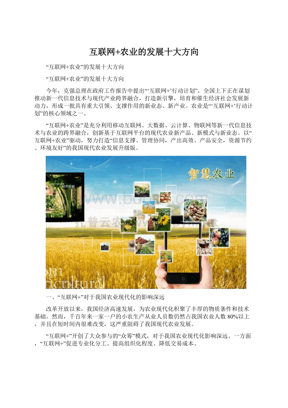 互联网+农业的发展十大方向文档格式.docx_第1页