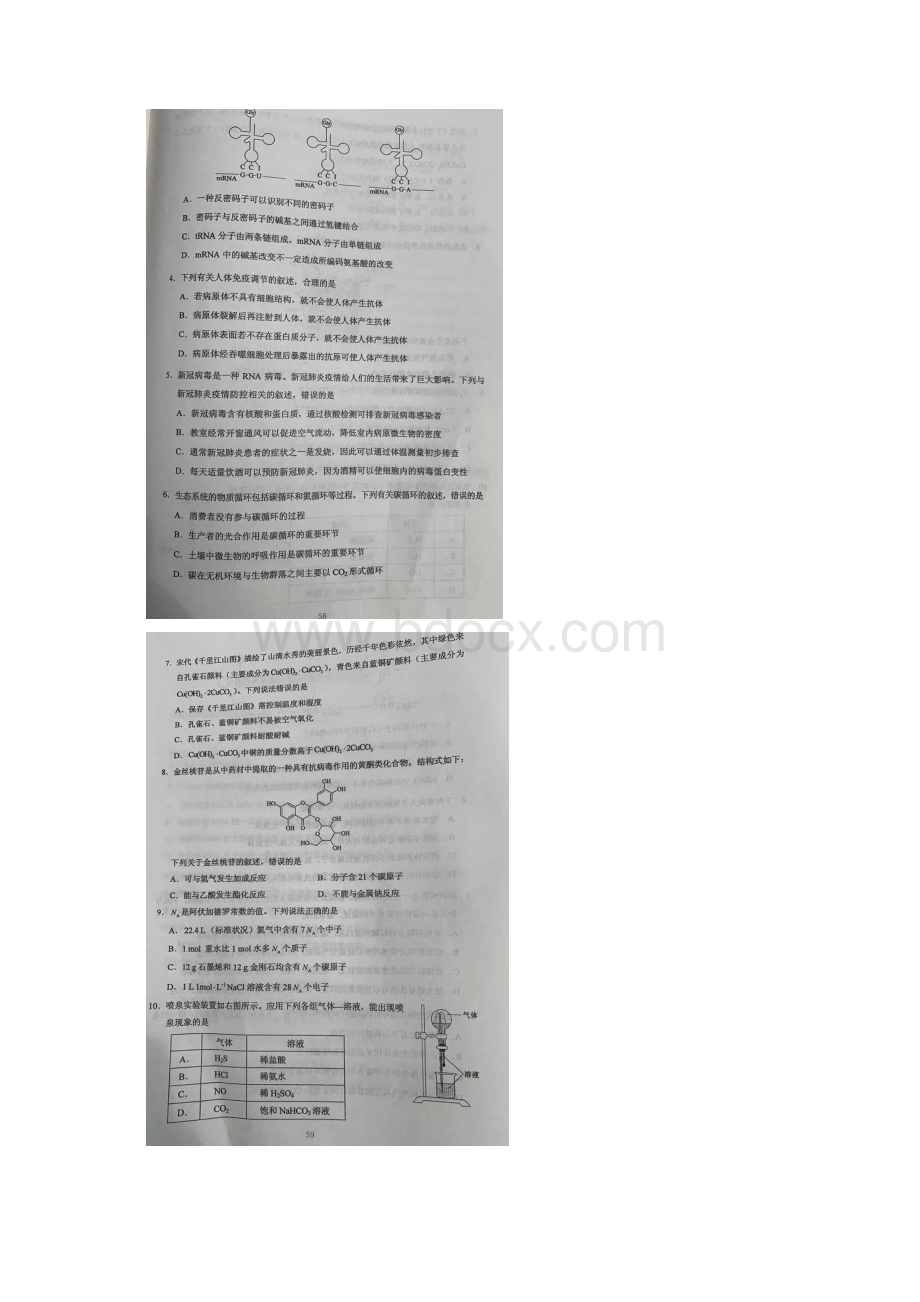 高考全国III卷高考理综试题真题及答案Word文件下载.docx_第2页