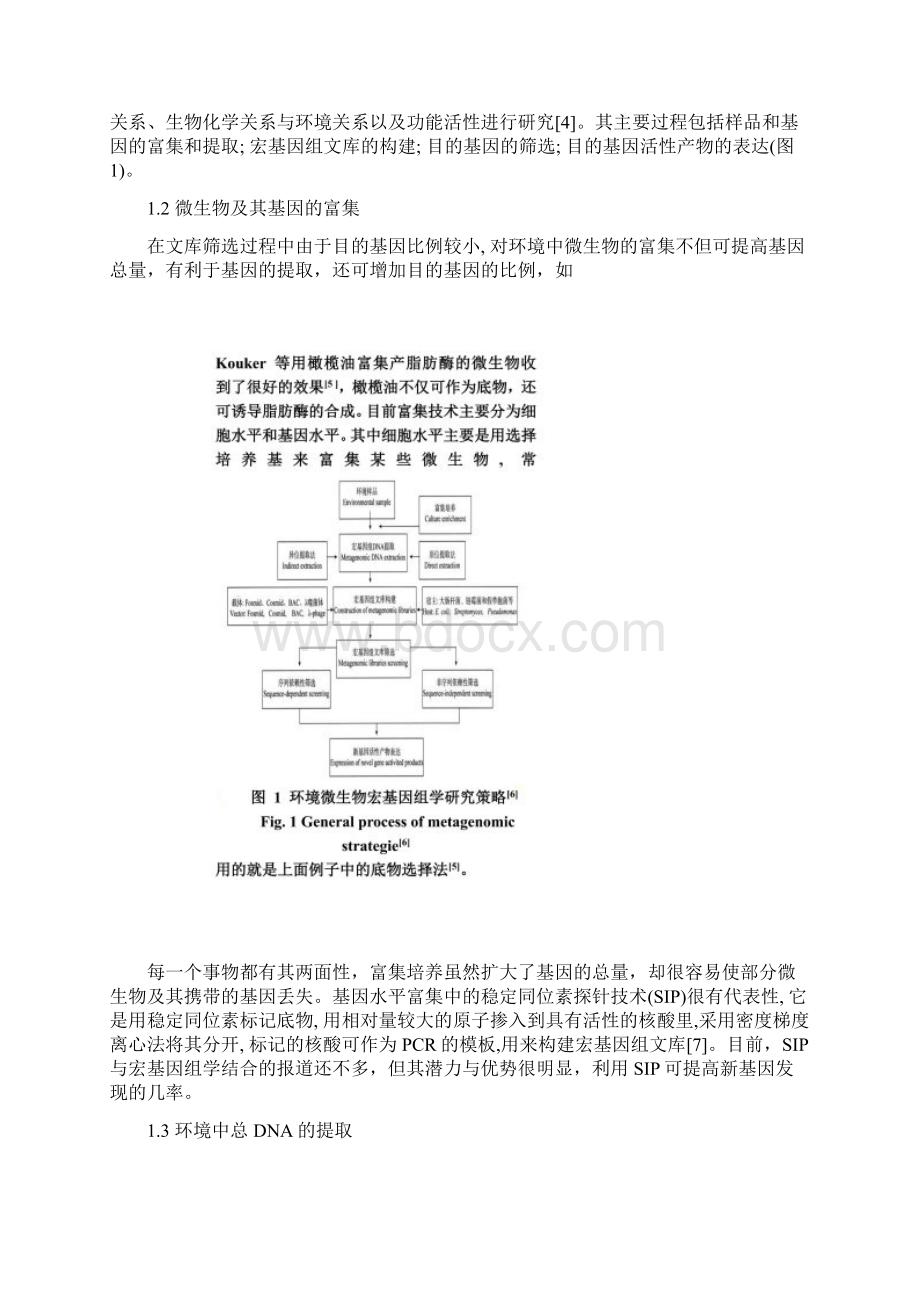 宏基因组学的一般研究策略Word文档下载推荐.docx_第2页