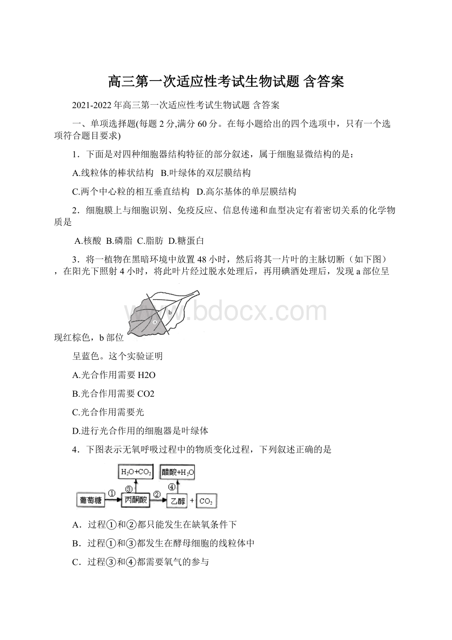 高三第一次适应性考试生物试题 含答案.docx