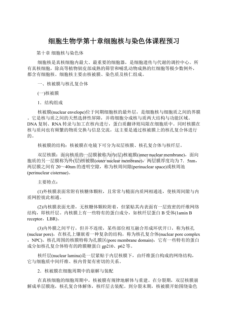 细胞生物学第十章细胞核与染色体课程预习.docx_第1页