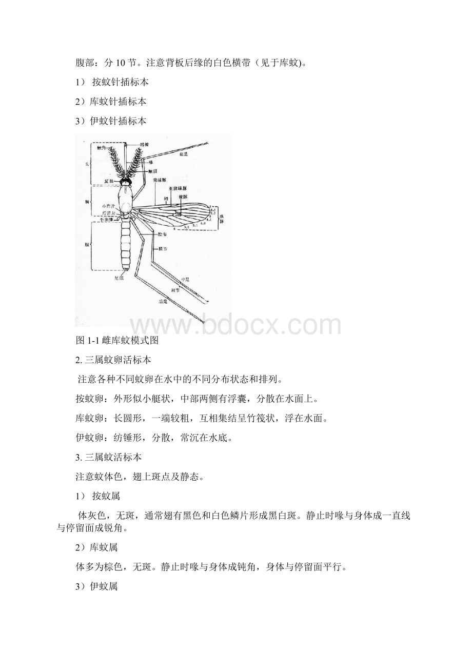 第3部分 医学节肢动物解析.docx_第2页