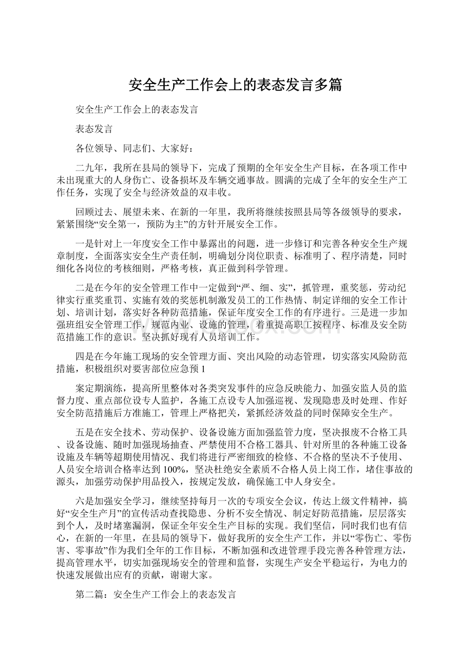 安全生产工作会上的表态发言多篇.docx