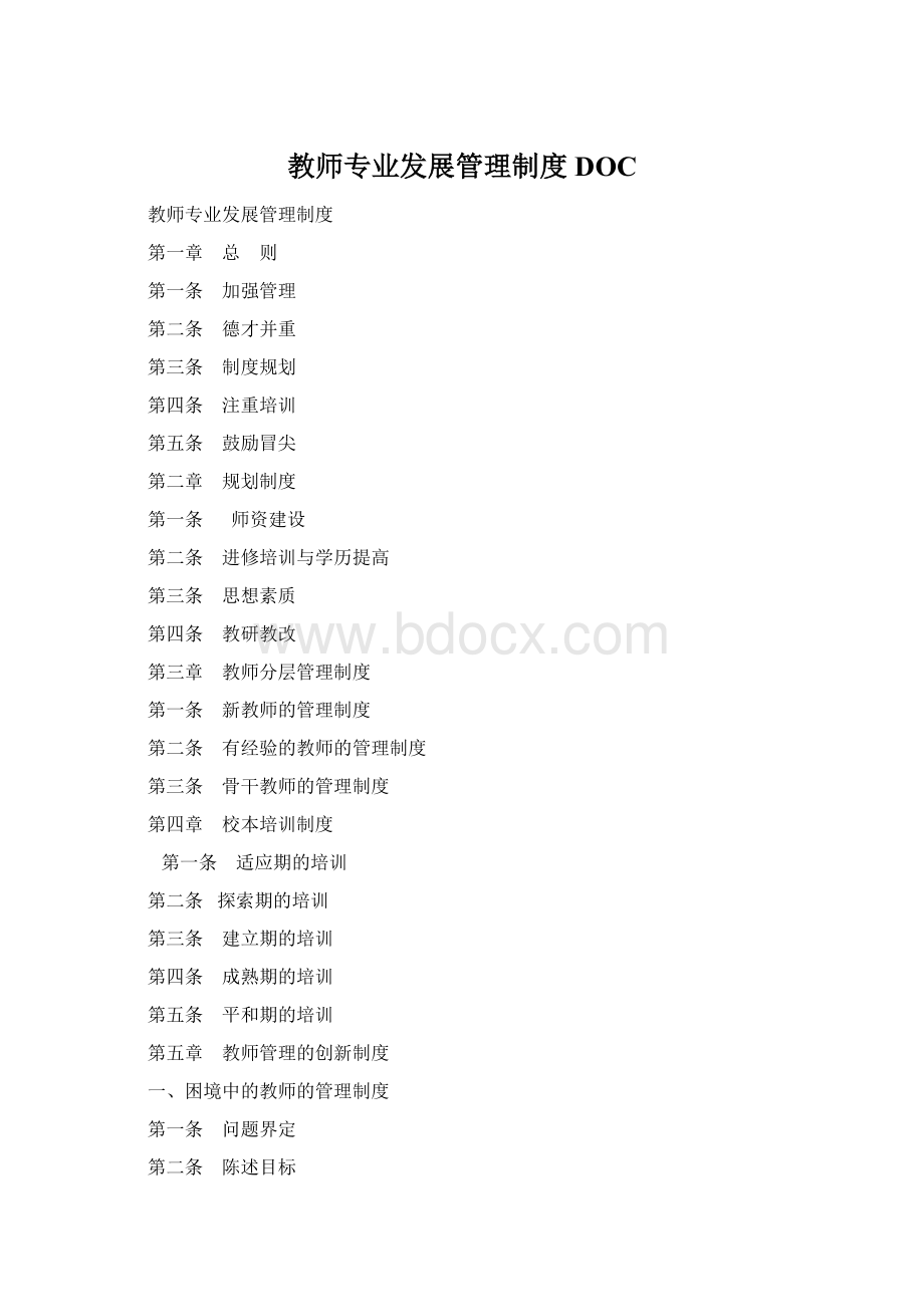 教师专业发展管理制度DOCWord格式.docx