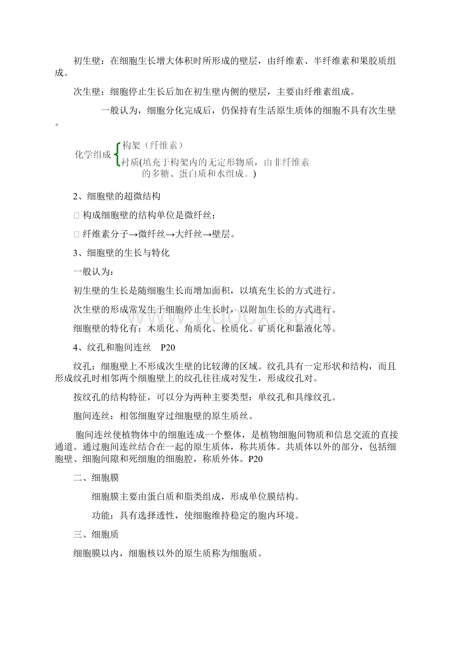 植物学复习提纲Word文档格式.docx_第3页