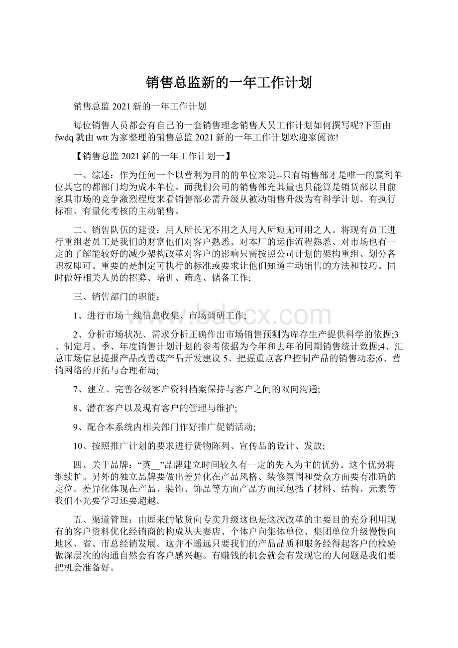 销售总监新的一年工作计划.docx_第1页