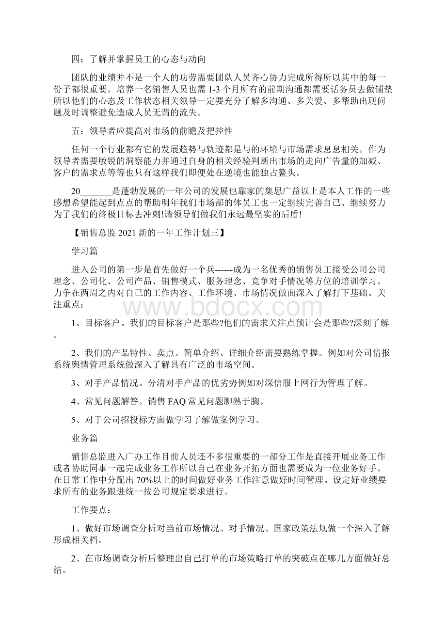 销售总监新的一年工作计划.docx_第3页