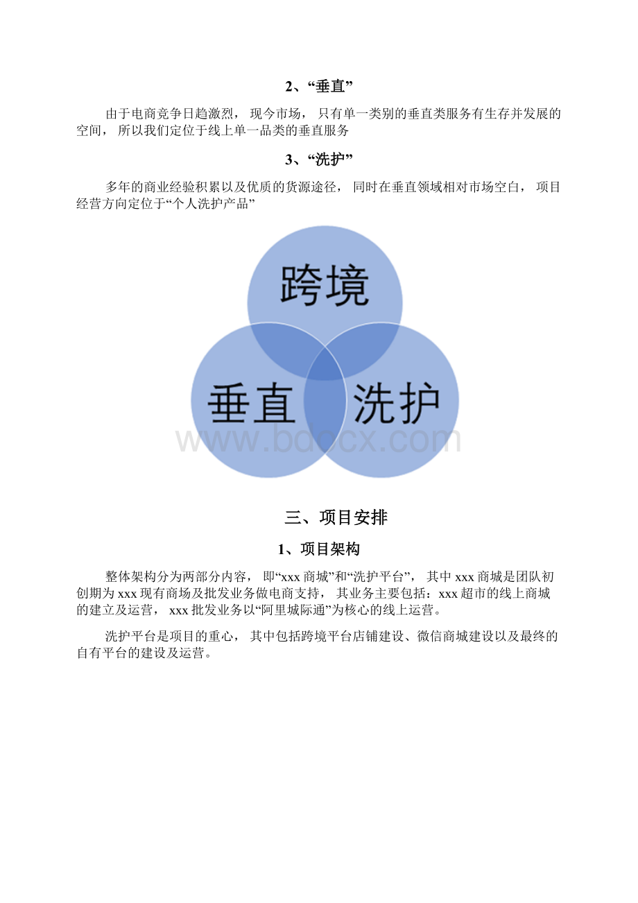 跨境电商方案.docx_第3页