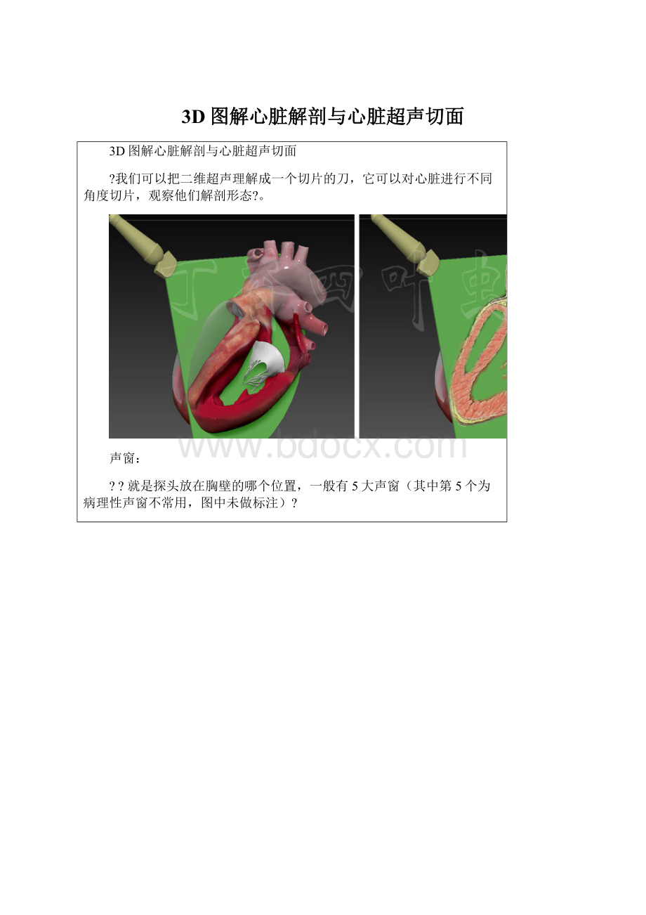 3D图解心脏解剖与心脏超声切面.docx