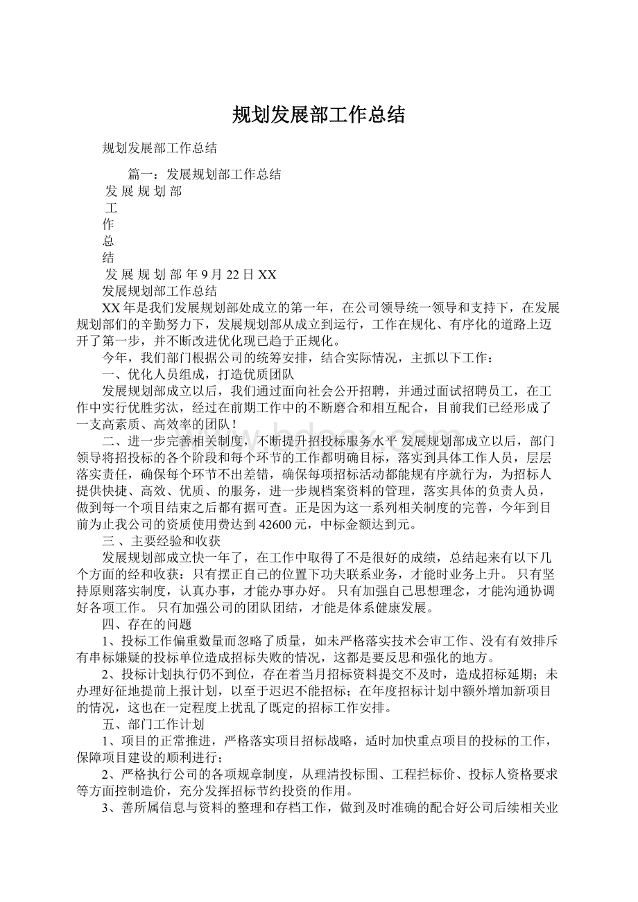 规划发展部工作总结Word格式文档下载.docx_第1页