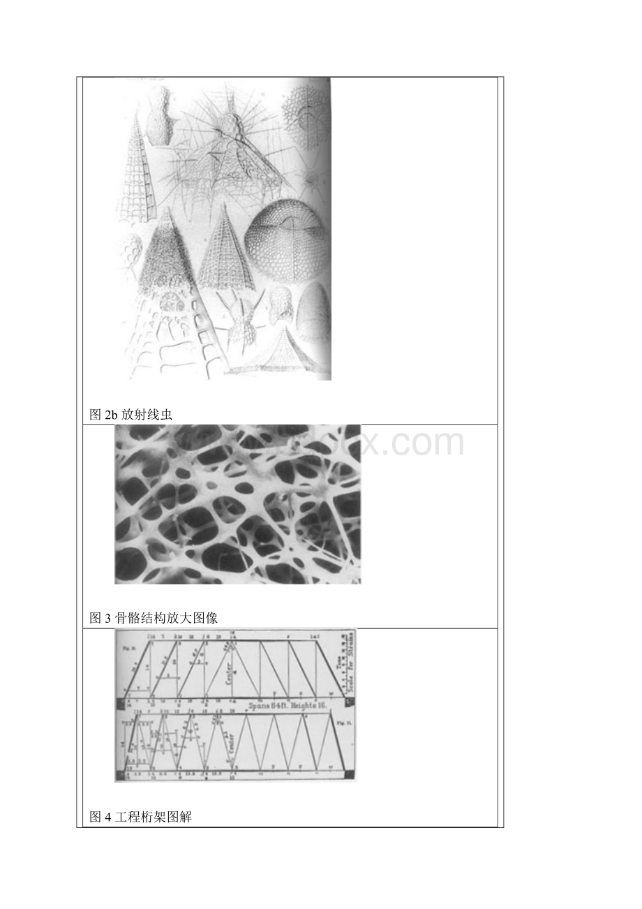 对建构学的思考在技艺的呈现与缺席之间.docx_第3页