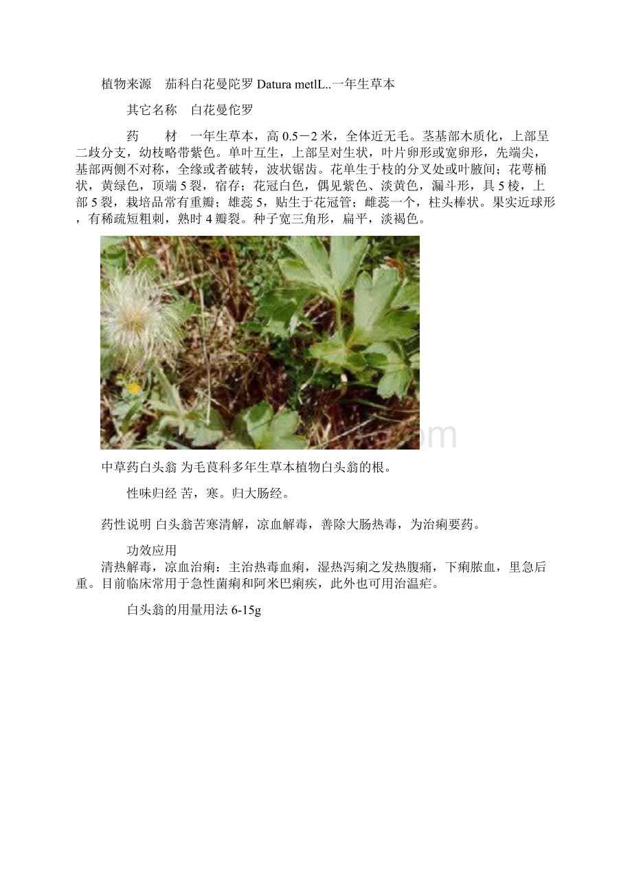 整理100种中草药彩色图谱1Word文档下载推荐.docx_第3页