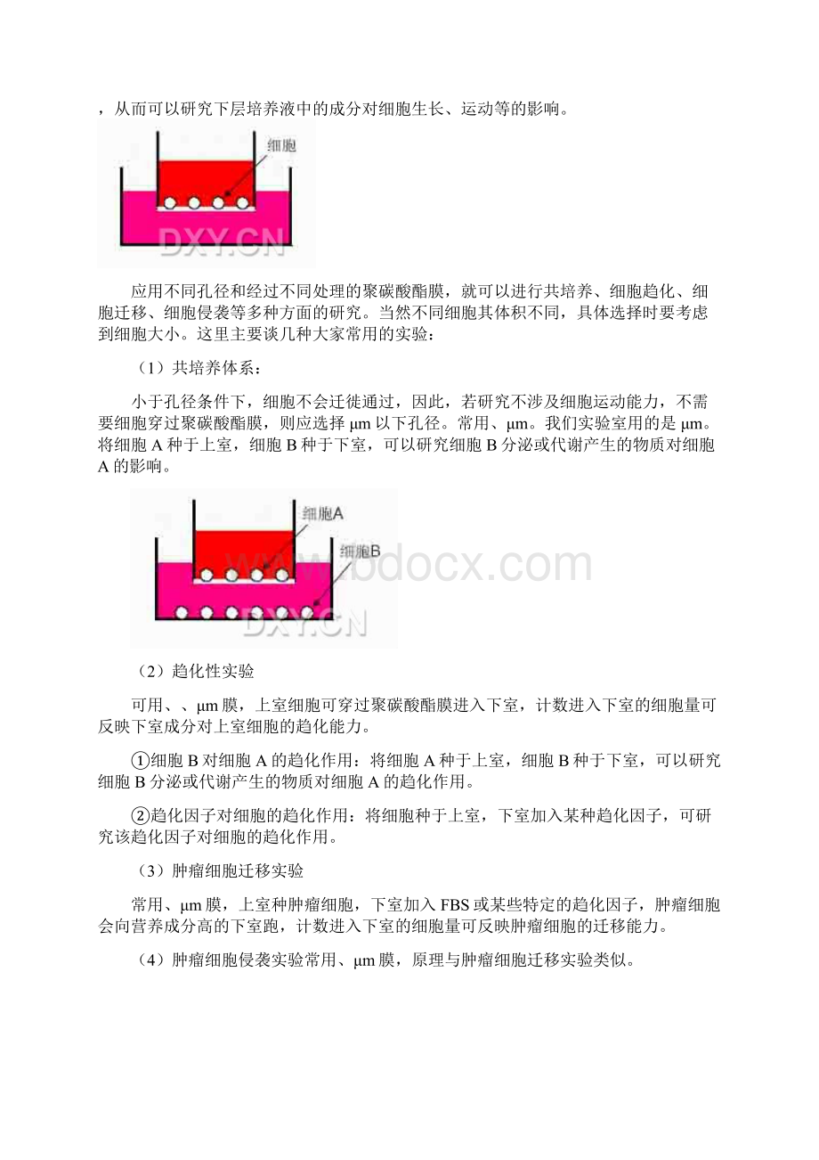 Transwell侵袭实验全面总结.docx_第2页