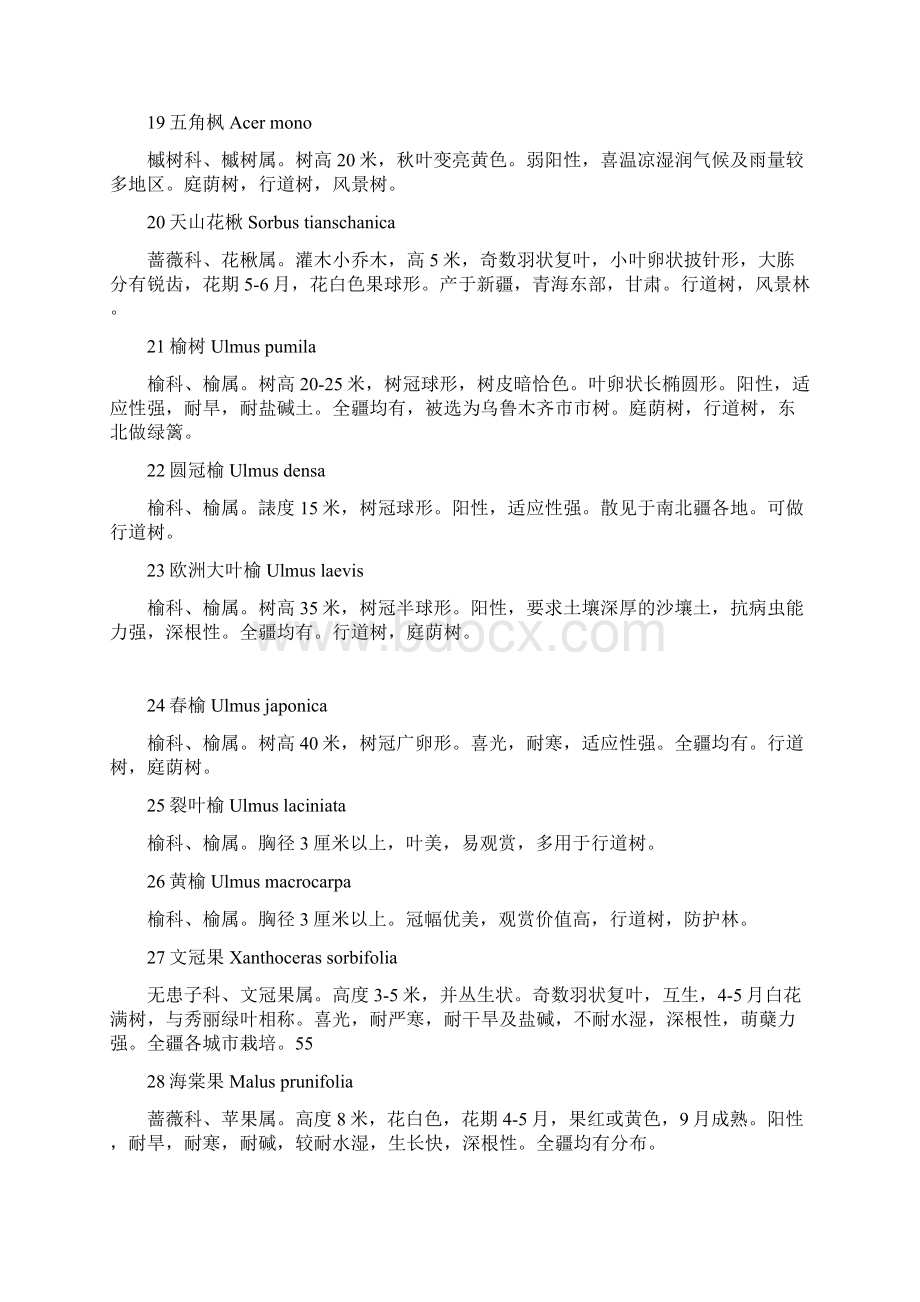 新疆北疆城市道路绿化部分可用树种Word文档下载推荐.docx_第3页