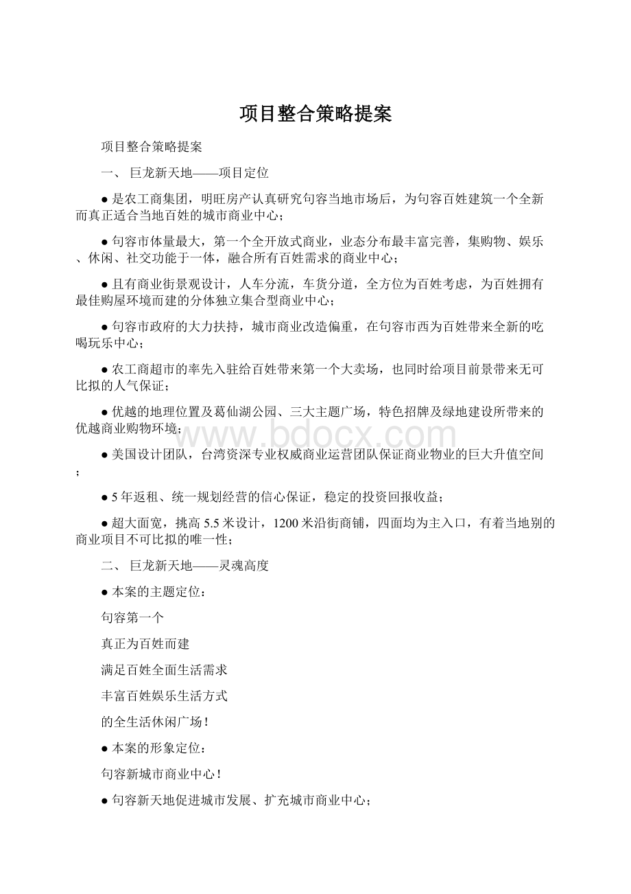 项目整合策略提案.docx