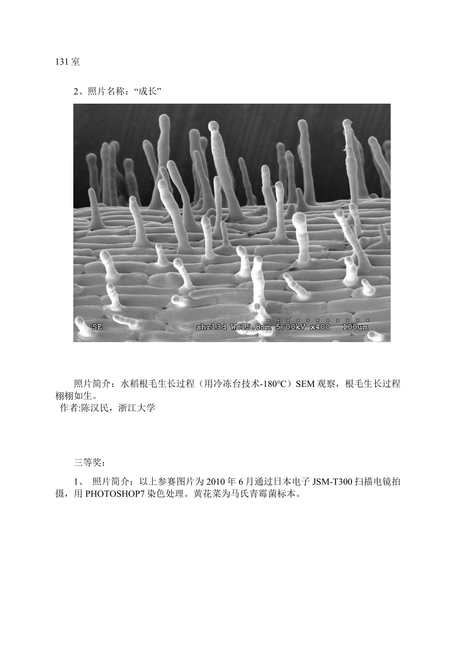 中国第一届电子显微镜摄影大赛摄影展.docx_第3页