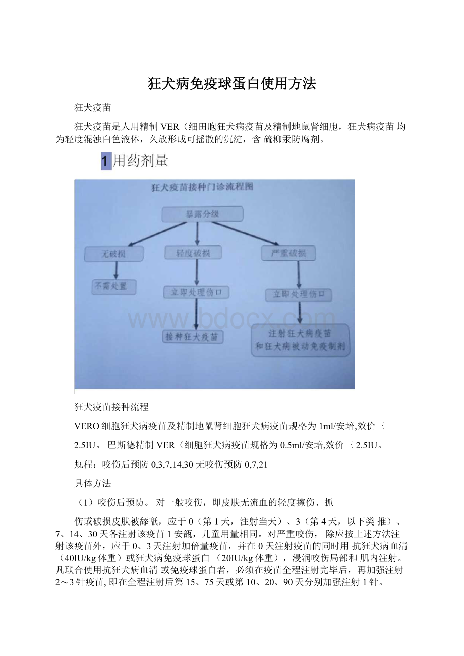 狂犬病免疫球蛋白使用方法.docx