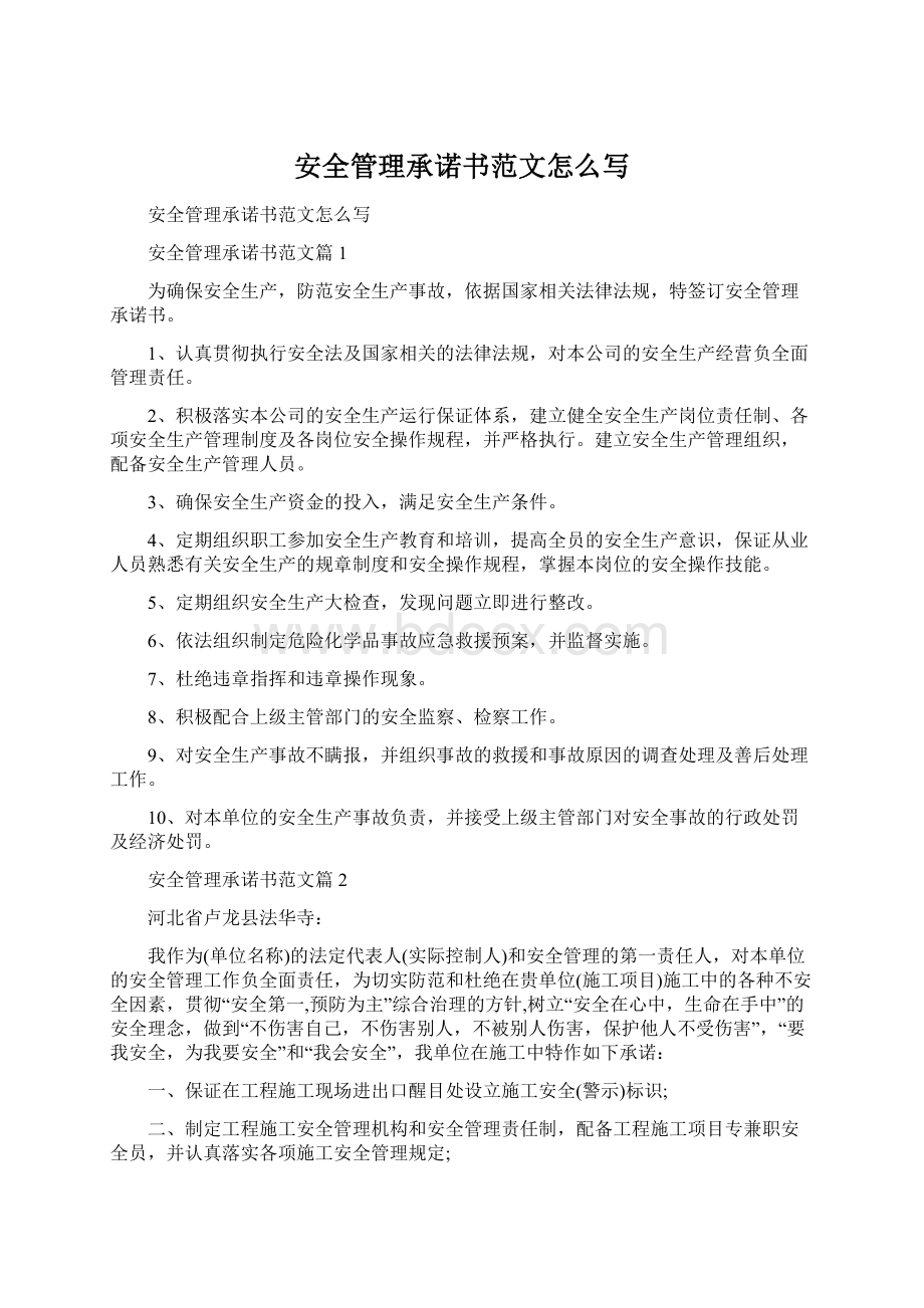 安全管理承诺书范文怎么写Word文档格式.docx