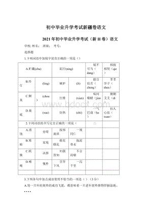 初中毕业升学考试新疆卷语文.docx